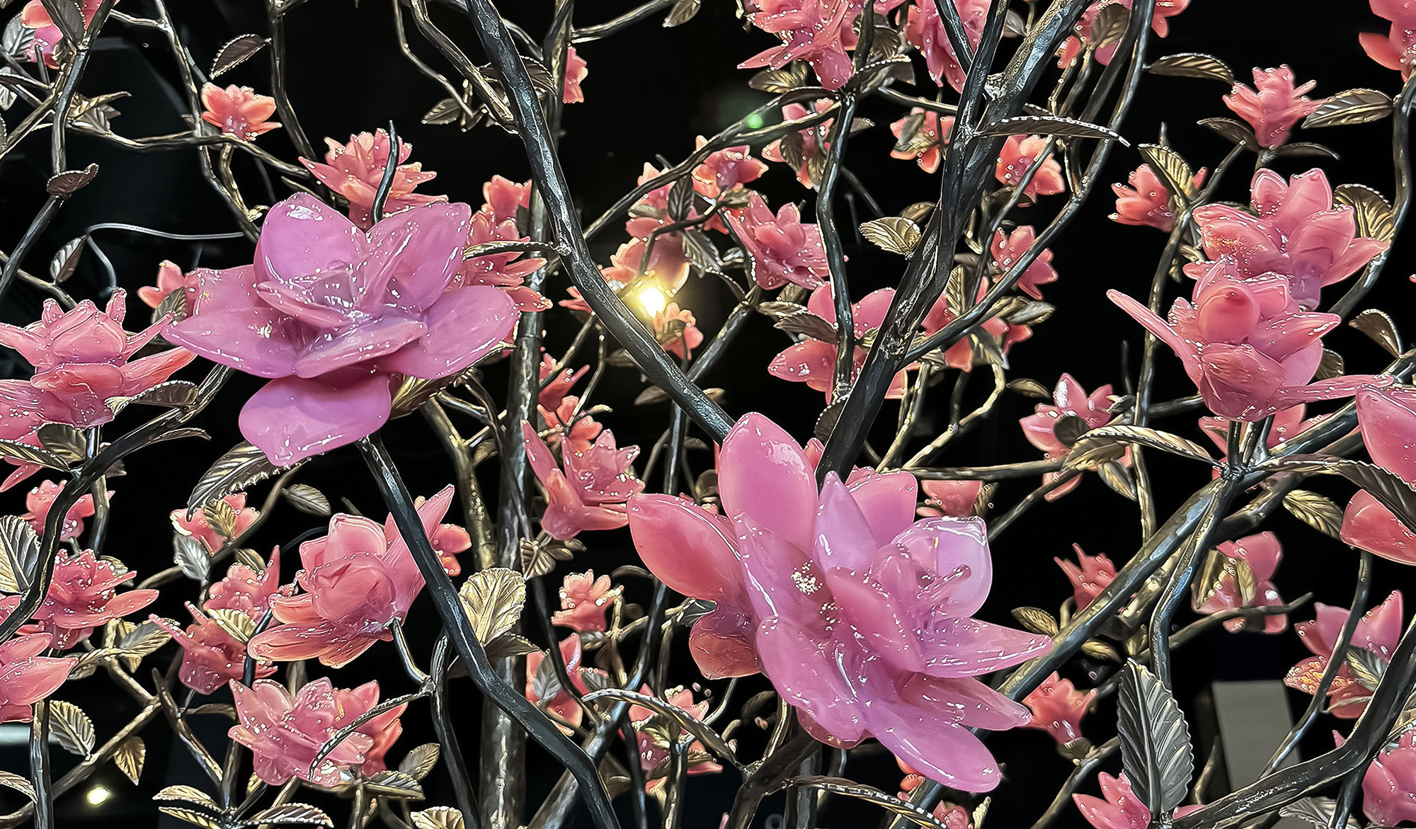 Magnolia, 2023, Cleveland, USA